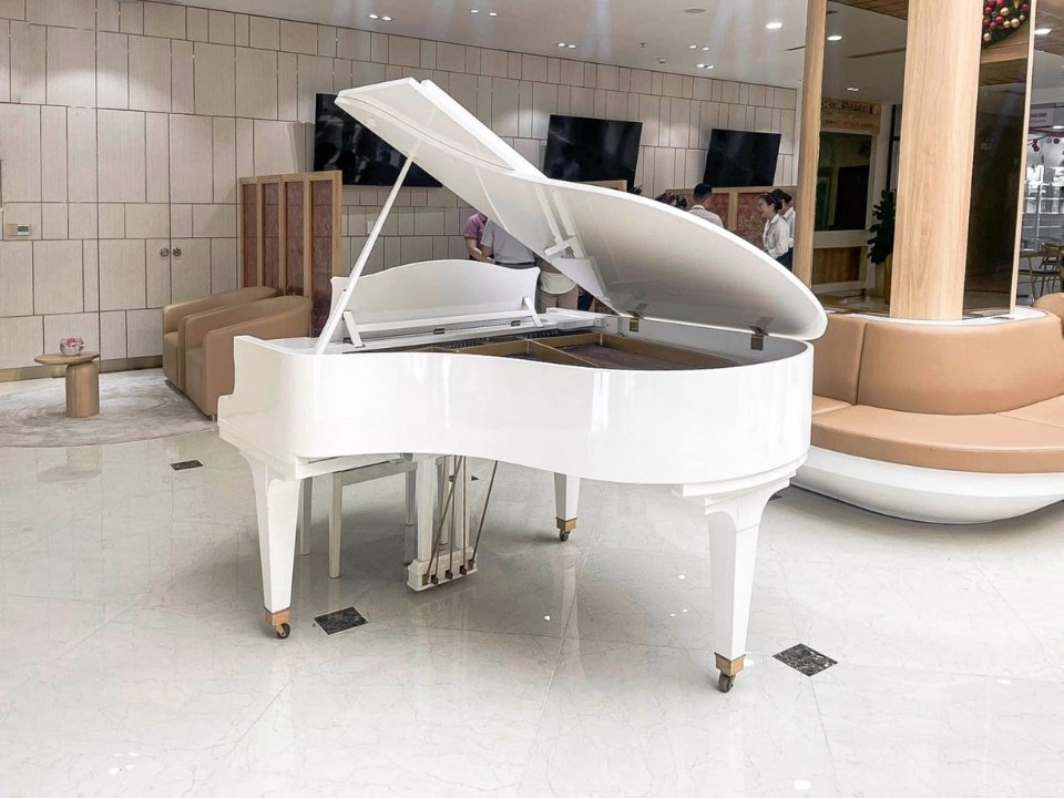 DIAPASON 170D WH - Ảnh thực tế 3